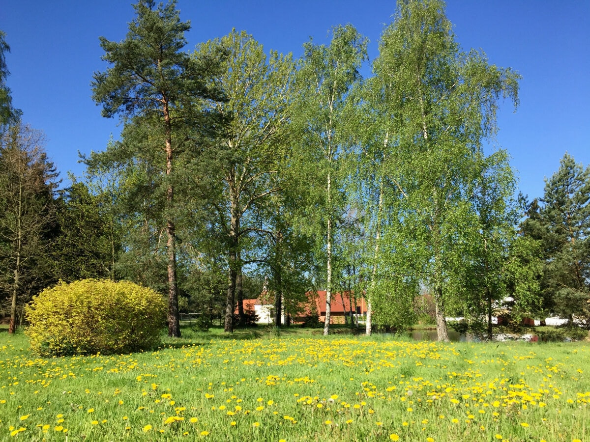 Villa Oslov Außenaufnahme 5