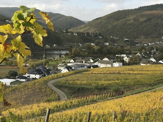 Aussicht Wanderweg bei Bullay