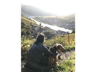 Aussicht Wanderweg bei Bullay