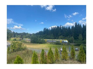 Appartamento per vacanze Hinterzarten Ambiente 12