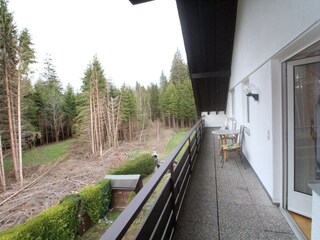 Ferienwohnung Hinterzarten Ausstattung 14
