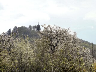 Casa per le vacanze Blankenburg Registrazione all'aperto 7