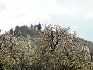Casa per le vacanze Blankenburg Caratteristiche 29
