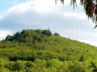Casa per le vacanze Blankenburg Registrazione all'aperto 6