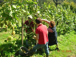 Casa per le vacanze Fehring Registrazione all'aperto 7