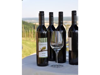 Casa per le vacanze Fehring Documento 25