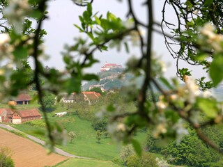 Casa per le vacanze Fehring Ambiente 20