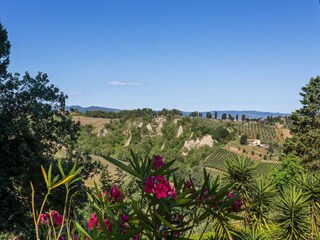 Casa per le vacanze Volterra Registrazione all'aperto 16