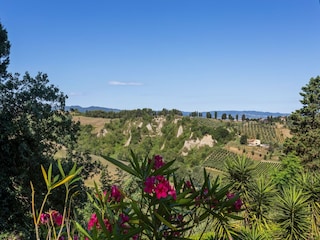 Ferienhaus Volterra Außenaufnahme 11