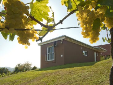 Ferienhaus im Weingarten "Das Nussberg"
