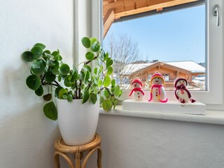 Appartamento Saalfelden  35