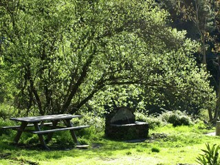 Holiday cottage Canillas de Aceituno Environment 37