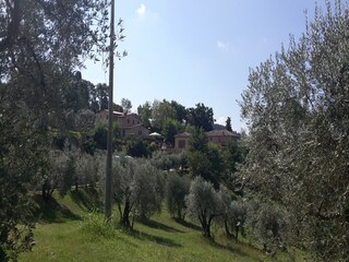 Casa de vacaciones Volterra  37