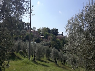 Maison de vacances Volterra  37