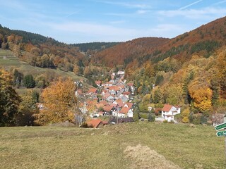 Apartamento Schleusegrund Entorno 31