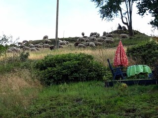 Apartamento Schleusegrund Grabación al aire libre 10