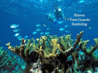 Villa Brindisi Ambiente 38