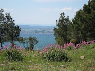 Appartamento per vacanze Neffiès  11