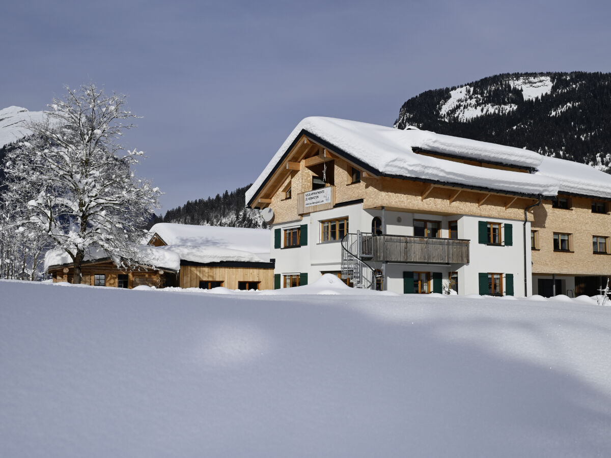 Vakantieappartement Au in Vorarlberg Omgeving 1