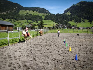 Holiday apartment Au in Vorarlberg Environment 24