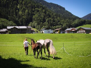 Appartamento per vacanze Au in Vorarlberg Caratteristiche 20