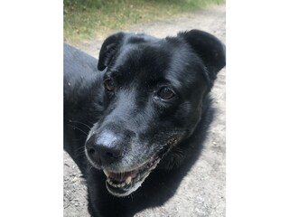 Appartamento per vacanze Wieck Caratteristiche 24