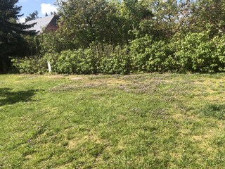 Appartamento per vacanze Wieck Registrazione all'aperto 3