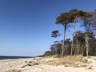 Appartamento per vacanze Wieck Ambiente 34