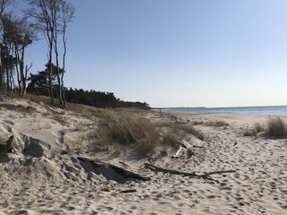 Appartamento per vacanze Wieck Ambiente 33