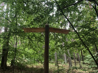 Appartamento per vacanze Wieck Ambiente 31