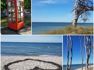 Appartamento per vacanze Wieck Ambiente 36