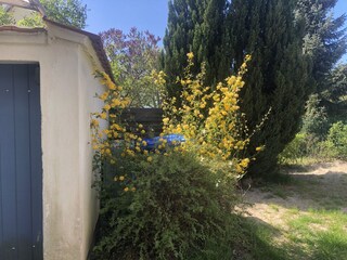 Appartamento per vacanze Wieck Registrazione all'aperto 5