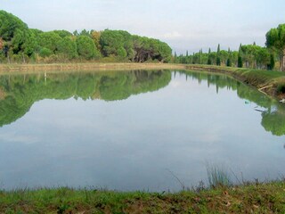 Holiday house Petrignano del Lago Environment 28