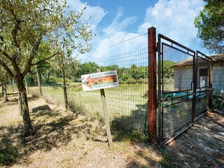 Holiday house Petrignano del Lago Environment 30