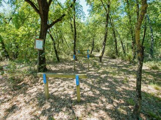 Holiday house Petrignano del Lago Environment 33