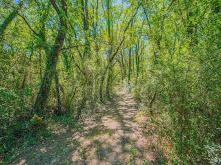 Ferienhaus Petrignano del Lago Umgebung 29