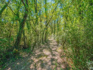 Holiday house Petrignano del Lago Environment 34