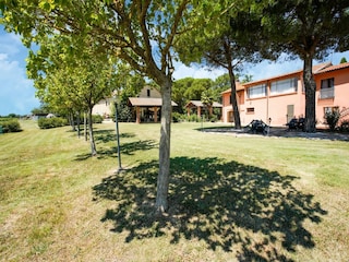 Ferienhaus Petrignano del Lago Außenaufnahme 13