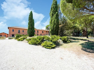 Ferienhaus Petrignano del Lago Außenaufnahme 6
