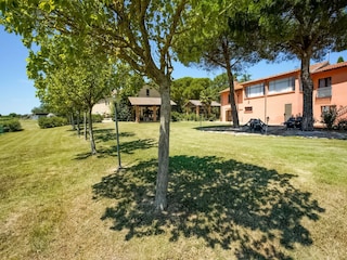 Ferienhaus Petrignano del Lago Außenaufnahme 8