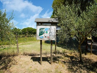 Holiday house Petrignano del Lago Environment 29