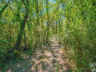 Holiday house Petrignano del Lago Environment 31