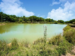 Holiday house Petrignano del Lago Environment 32