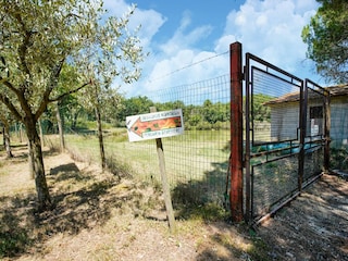 Ferienhaus Petrignano del Lago Umgebung 31