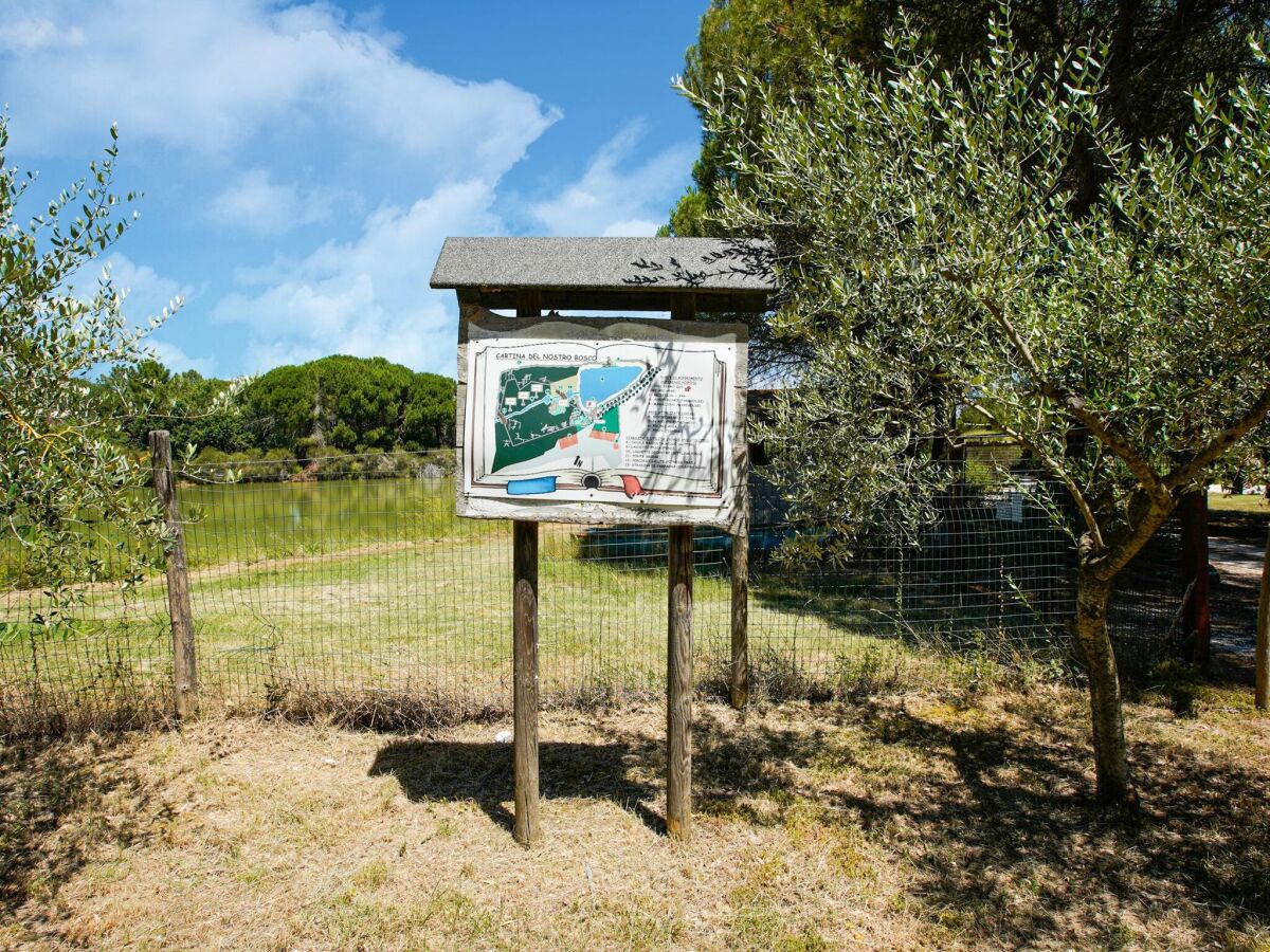 Ferienhaus Petrignano del Lago Umgebung 28