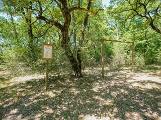 Vakantiehuis Petrignano del Lago Omgeving 32