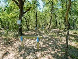 Ferienhaus Petrignano del Lago Außenaufnahme 6