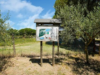 Vakantiehuis Petrignano del Lago Omgeving 28