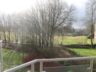 Blick vom Balkon ins Grüne