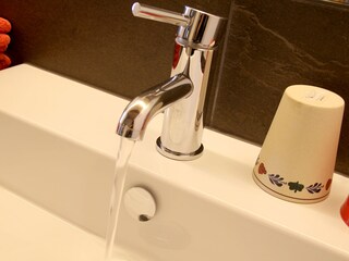 Appartamento per vacanze Andelsbuch Caratteristiche 19